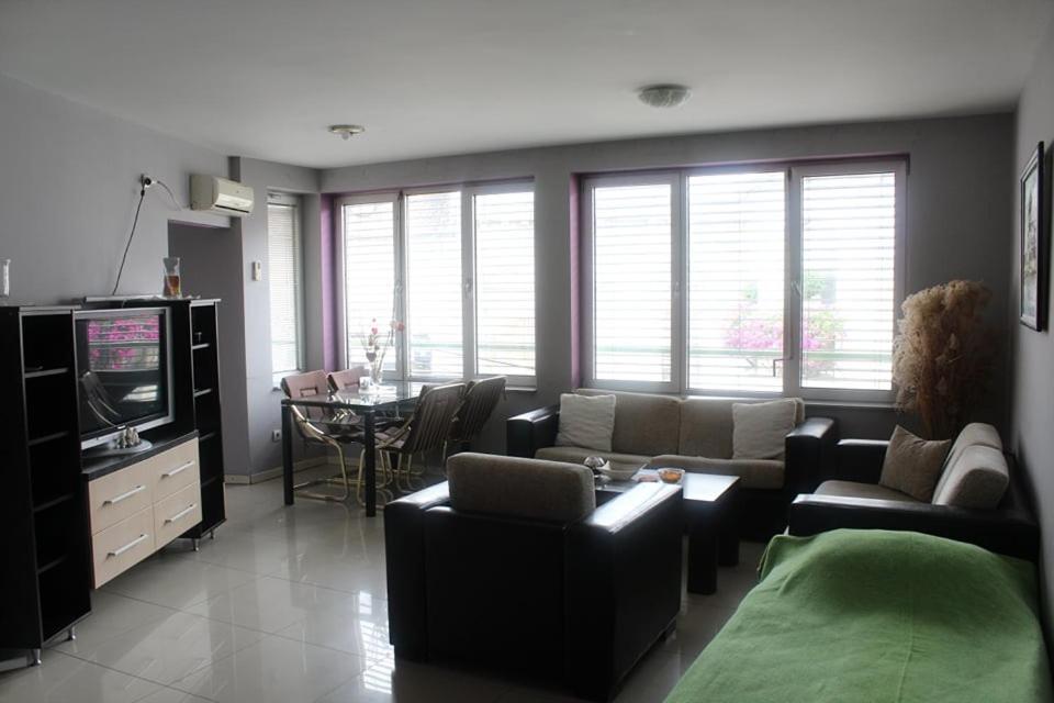 Apartman Natasa 1 Vrsac Zewnętrze zdjęcie